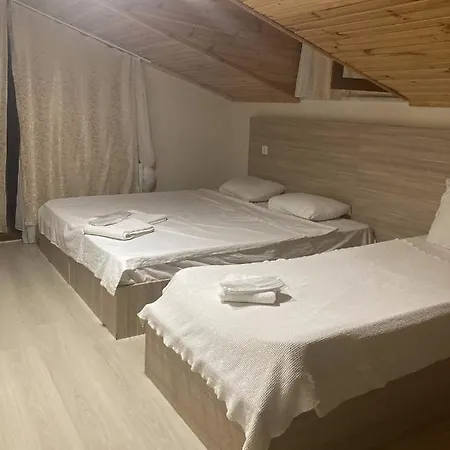 Hotel Rex
