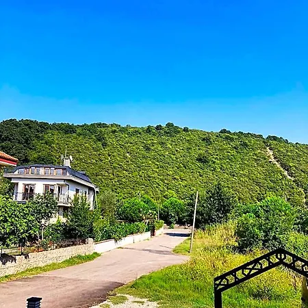 Rex Otel Ağva